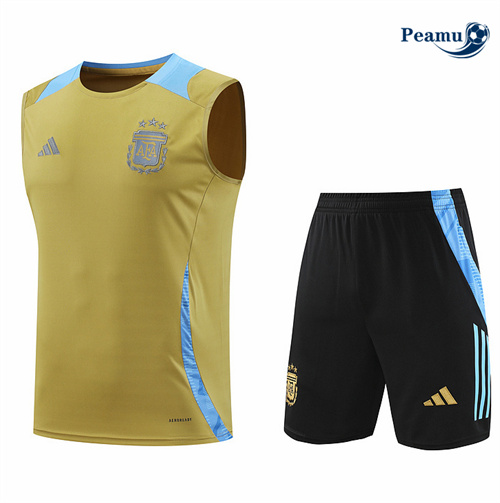 Novos Camisola Kit Equipamento Training Argentina Colete + Calções Amarelo 2024-2025