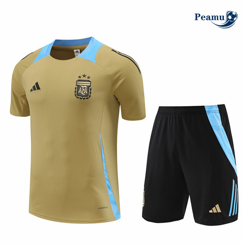 Novo Camisola Kit Equipamento Training Argentina + Calções Amarelo 2024-2025