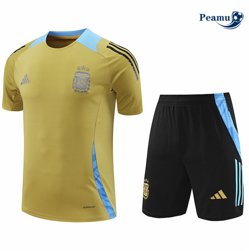 Loja Camisola Kit Equipamento Training Argentina + Calções Amarelo 2024-2025