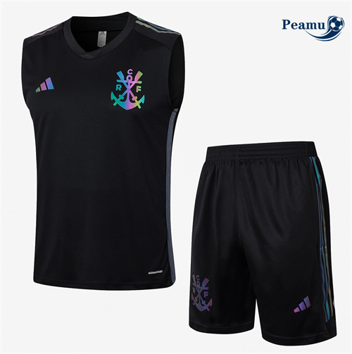 Comprar Camisola Kit Equipamento Training Flamengo Colete + Calções preto 2024-2025