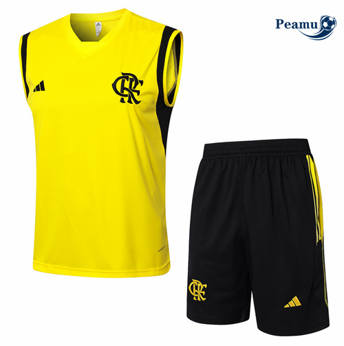 Vender Camisola Kit Equipamento Training Flamengo Colete + Calções Amarelo 2024-2025