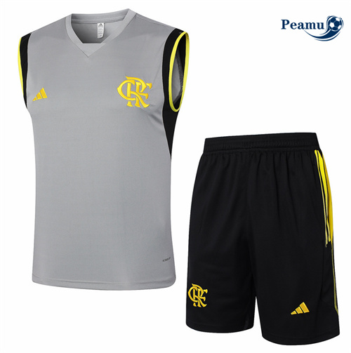 Novos Camisola Kit Equipamento Training Flamengo Colete + Calções cinza 2024-2025