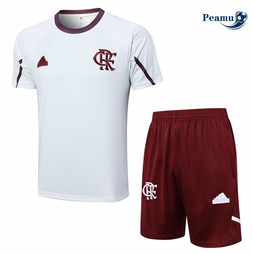 Criar Camisola Kit Equipamento Training Flamengo + Calções cinza claro 2024-2025