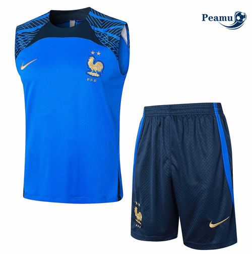 Oferta Camisola Kit Equipamento Training França Colete + Calções cielo azul 2024-2025