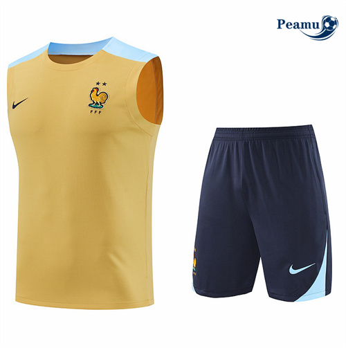 Vender Camisola Kit Equipamento Training França Colete + Calções Amarelo 2024-2025