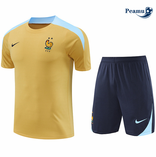 Nouveau Camisola Kit Equipamento Training França + Calções Caqui 2024-2025