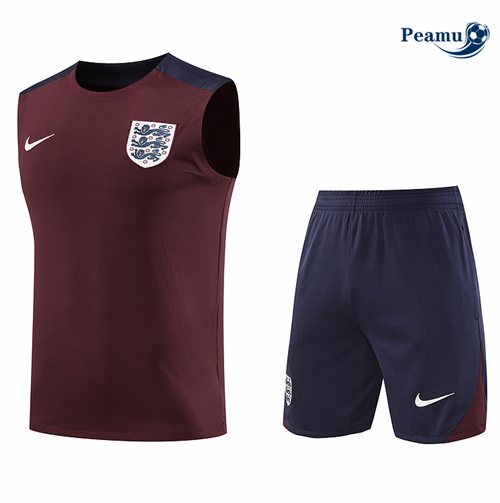 Oferta Camisola Kit Equipamento Training Inglaterra Colete + Calções Marrom 2024-2025