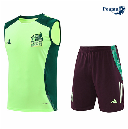 Criar Camisola Kit Equipamento Training Mexico Colete + Calções verde 2024-2025