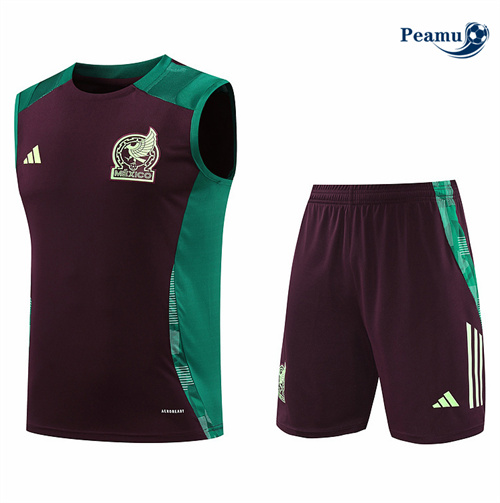 Loja Camisola Kit Equipamento Training Mexico Colete + Calções Marrom 2024-2025