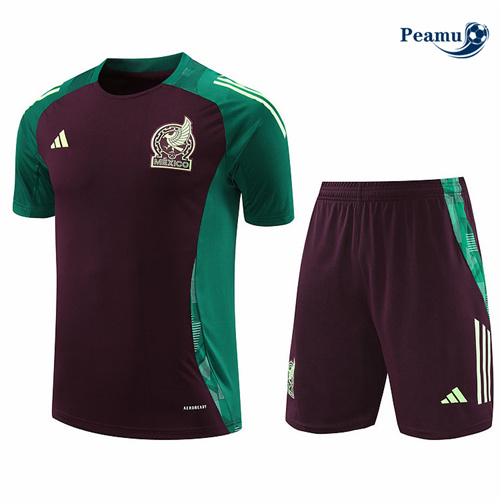 Oferta Camisola Kit Equipamento Training Mexico + Calções Marrom 2024-2025