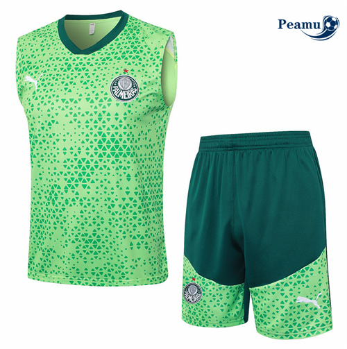 Vender Camisola Kit Equipamento Training Palmeiras Colete + Calções luz verde 2024-2025