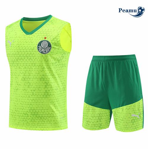 Novos Camisola Kit Equipamento Training Palmeiras Colete + Calções Amarelo 2024-2025