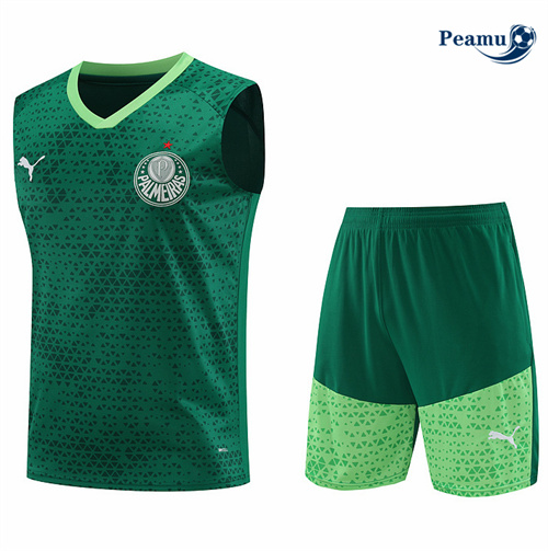 Criar Camisola Kit Equipamento Training Palmeiras Colete + Calções verde 2024-2025