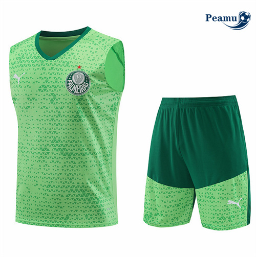 Loja Camisola Kit Equipamento Training Palmeiras Colete + Calções luz verde 2024-2025