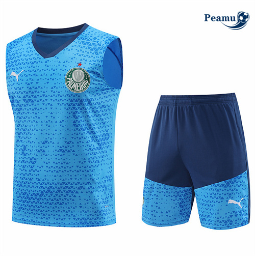 Oferta Camisola Kit Equipamento Training Palmeiras Colete + Calções azul 2024-2025