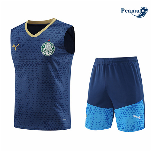 Novo Camisola Kit Equipamento Training Palmeiras Colete + Calções azul 2024-2025