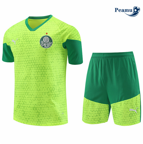 Nouveau Camisola Kit Equipamento Training Palmeiras + Calções Amarelo 2024-2025