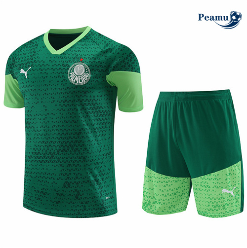 Comprar Camisola Kit Equipamento Training Palmeiras + Calções verde 2024-2025