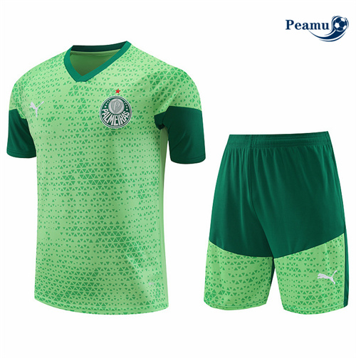 Vender Camisola Kit Equipamento Training Palmeiras + Calções verde 2024-2025