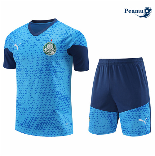 Novos Camisola Kit Equipamento Training Palmeiras + Calções azul 2024-2025