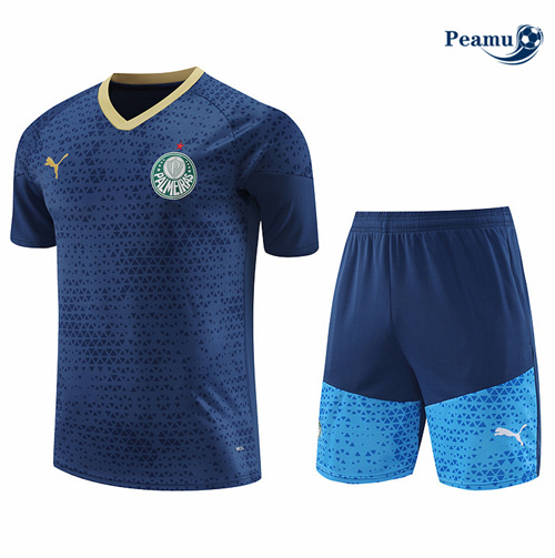 Criar Camisola Kit Equipamento Training Palmeiras + Calções azul 2024-2025