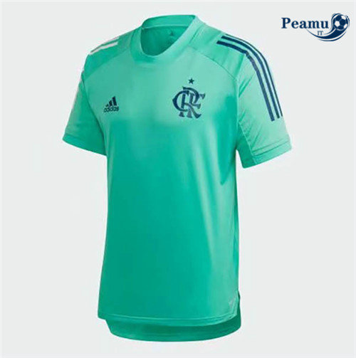 Camisola Futebol Flamengo training Verde 2020-2021