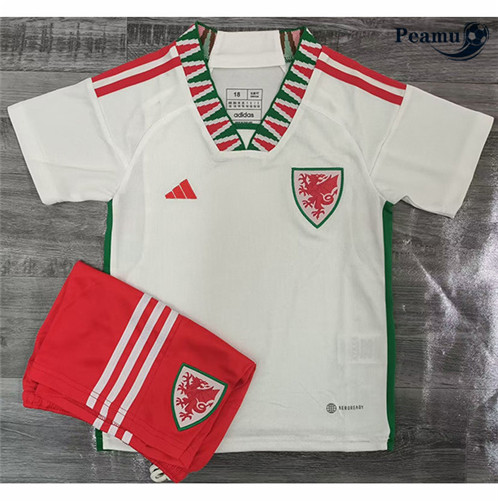 Comprar Camisola Futebol País de Gales Crianças Alternativa Equipamento 2022-2023 personalizadas