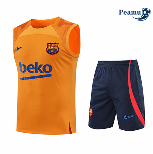 Comprar Camisola Kit Entrainement foot Barcelona Colete + Pantalon Naranja/Azul Profundo 2022-2023 t223 baratas | peamu.pt