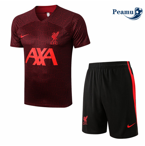 Vender Camisola Kit Entrainement foot Liverpool + Pantalon Rojo 2022-2023 t316 baratas | peamu.pt