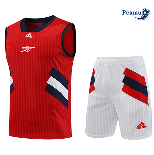 Oferta Camisola Kit Equipamento Training Arsenal Colete + Shorts Vermelho 2023-2024