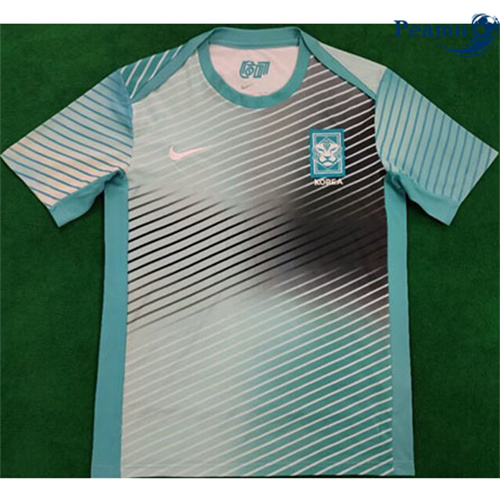 Camisola Futebol Coreia Training Equipamento 2024-2025