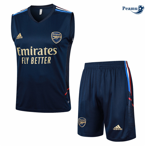 Criar Camisola Kit Equipamento Training Arsenal Colete + Calções azul real 2024-2025
