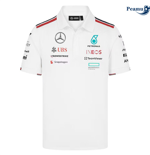 Criar Camisola Polo Mercedes AMG Petronas F1 2024