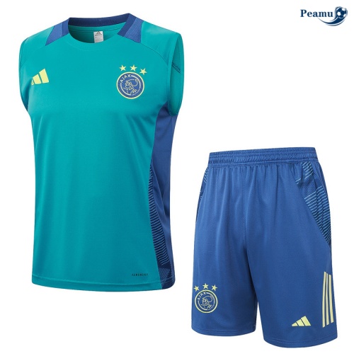 Criar Camisola Futebol Ajax Debardeur Training 2024-2025 Verde