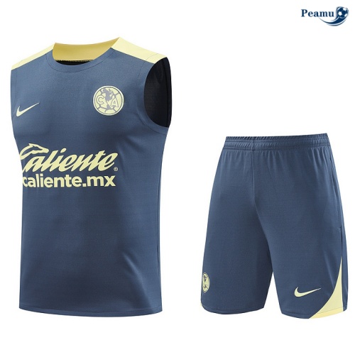 Loja Camisola Futebol CF América Debardeur Training 2024-2025 Cinza