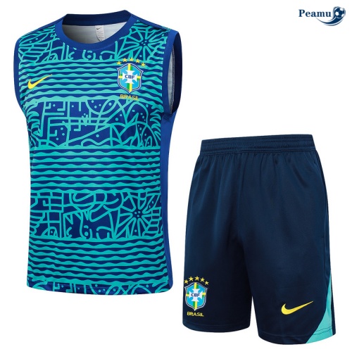 Desconto Camisola Futebol Brasil Debardeur Training 2024-2025 Azul