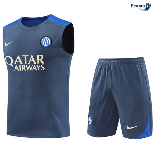 Oferta Camisola Futebol Inter Milan Debardeur Training 2024-2025 Cinza